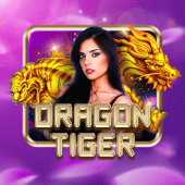 jl365 Dragon Tiger live casino game